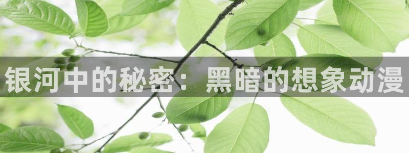 78动漫正版官网入口：银河中的秘密：黑暗的想象动漫