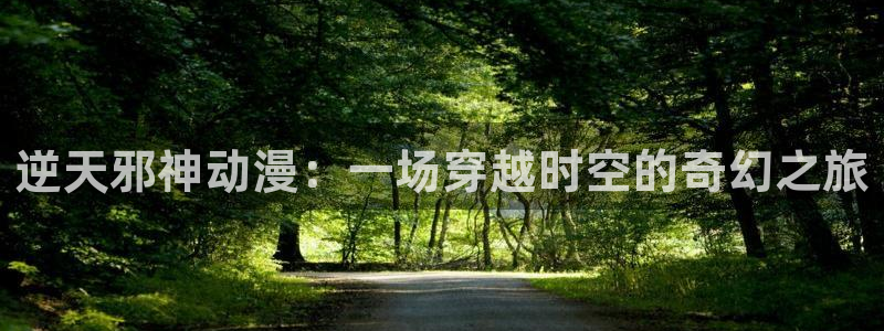 78动漫资料：逆天邪神动漫：一场穿越时空的奇幻之旅