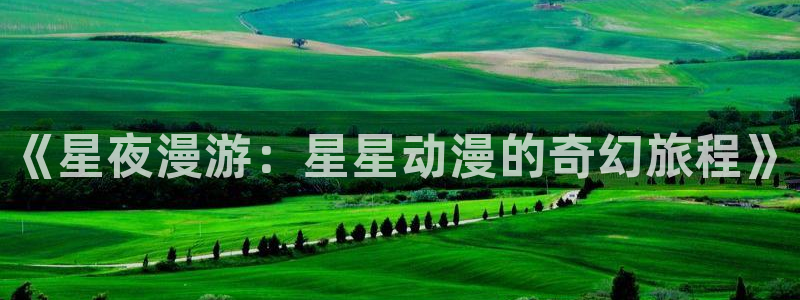 78动漫网线崩了：《星夜漫游：星星动漫的奇幻旅程》