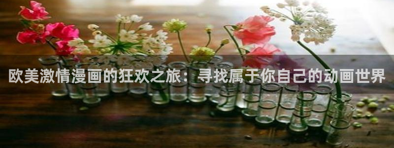 www.78动漫：欧美激情漫画的狂欢之旅：寻找属于你自己的动画世界