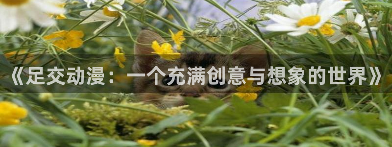 78动漫安卓：《足交动漫：一个充满创意与想象的世界》
