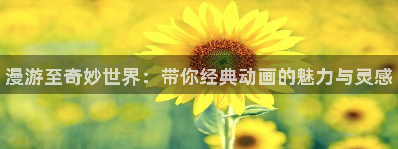 78动漫资料库打不开：漫游至奇妙世界：带你经典动画的魅力与灵感